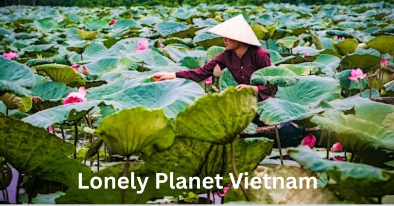 lonely planet vietnam