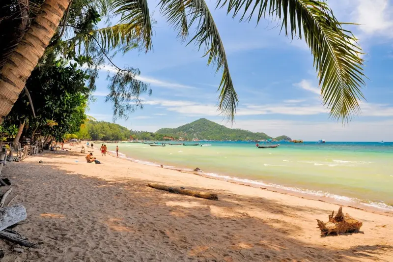 sairee beach, koh tao