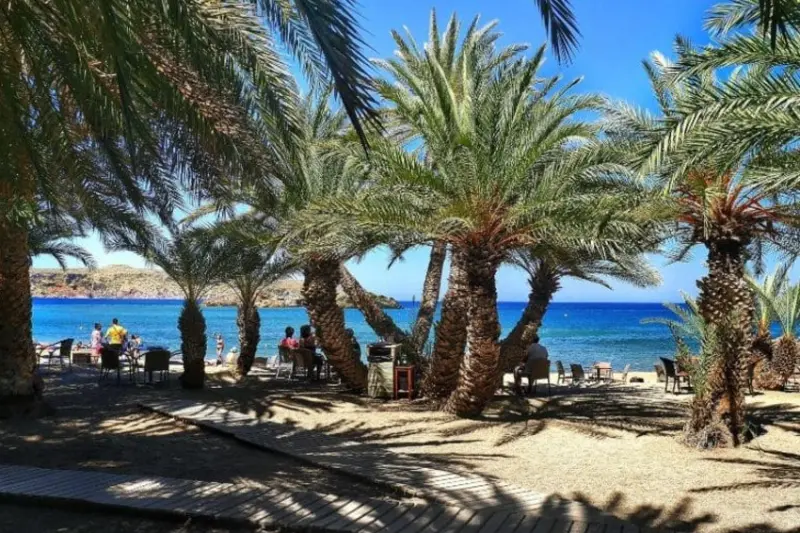 vai beach – palm paradise