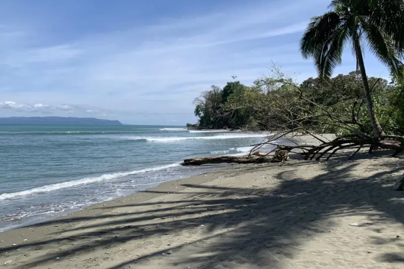 playa matapalo