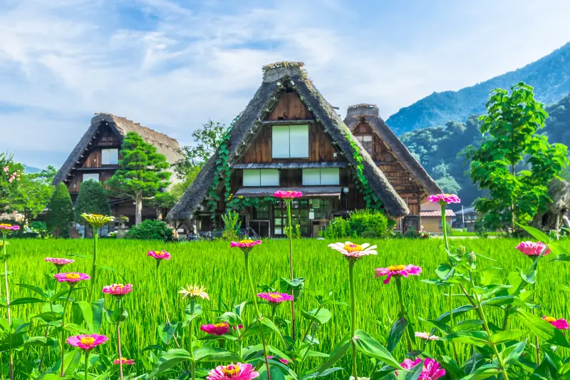 takayama & shirakawa-go – old japan preserved