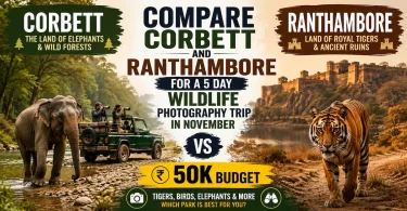 compare corbett and ranthambore for a 5 day wildlife photography trip in november on a 50k budget